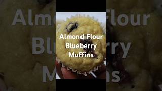 No Sugar No Butter Almond Flour Blueberry Muffins #shorts #healthyfood  #weightloss