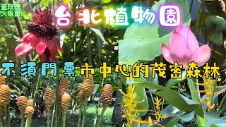 台北植物園-不需門票的景點，搭捷運就可抵達的一片茂密森林。觀賞2000多種植物，吸收芬多精