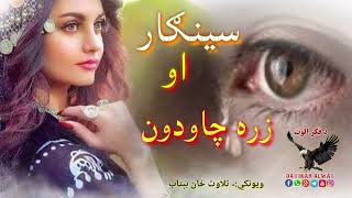 تصوير نه چا وئيل چي د بيمار اندازه لګي| Pashto sad ghazal|Pashto new Shari||Heartbroken poetry#love