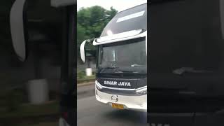 Bis SINAR JAYA legacy SR2 | Jakarta - Kediri - Blitar #bismaniacomunity #videoshort