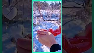 Heart Snowball Maker Clip #youtubeshorts #shorts