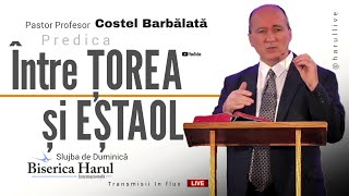 04.08.2024 | Pastor Profesor Costel Barbălată | Între Țorea și Eștaol