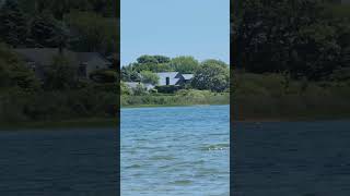 White Crane Flying Over Beach in Montauk