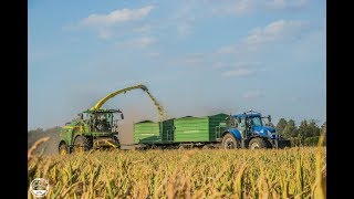 Mais häckseln // John Deere 8400i , New Holland FR600 // Agro-Service Luckau GmbH