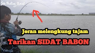 Mancing Dasaran Di Rawa || Dapat Bonus Sidat