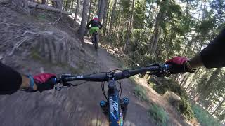 Valais/Wallis mtb Enduro flowy trails