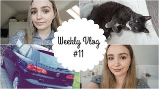 Weekly Vlog #11 | Buying a Car & Random Chats