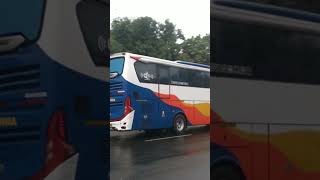 Bis LAJU PRIMA jetbus 3 | Jakarta - Bojonegoro #videoshort #bismaniacommunity #fypyoutube