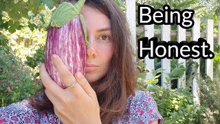 WHY MY EGGPLANTS ALWAYS SUFFER🙁 Problems in the Garden