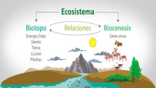 EL BIOTOPO Y LA BIOCENOSIS