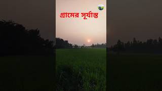 গ্রামের সূর্যাস্ত। গ্রামে সূর্য ঢুবার দৃশ্য। সূর্যাস্ত। সূর্য ঢুবার দৃশ্য মুগ্ধ হবে যে কেউই।sunset।