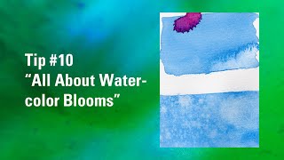 How to Use or Fix Watercolor Blooms | Watercolour Painting Tip 10