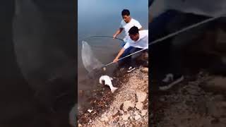 MANCING IKAN ini sampai kualahan