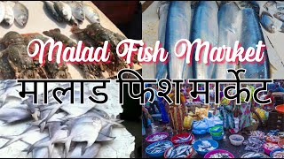 मालाड मच्छी मार्केट | Malad fish Market | Wholesale fish Market Malad | Big fish market.