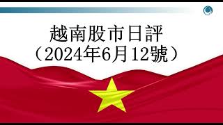 越指 銀行闆塊“蘇醒”回升，越指 等待兩多年重回 1300 點請大家觀看2024年06月12號越南股市日評