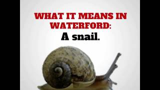 6 Words And Phrases That Mean Something Totally Different In Waterford