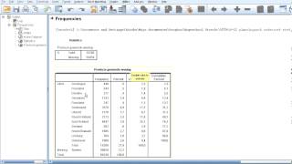 Betrouwbaarheidsintervallen voor fracties: gegevens uit SPSS halen