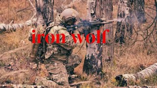 Exercise Iron Wolf was held in Lithuania in October.#usmilitary #army #militarytraining #shots