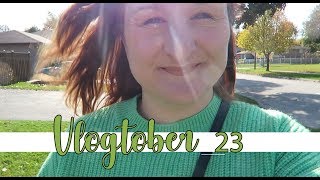 VLOGTOBER DAY 23: SUNSHINE AND GRATITUDE