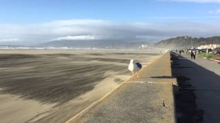 Sand Storm on Ocean Beach, San Francisco