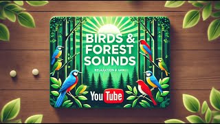 2 Hours of Relaxing Forest Ambiance with Birds Singing | Nature Sounds for Sleep & Relaxation 🌳🐦