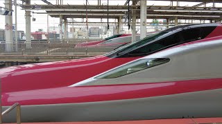 Watching Shinkansen at Omiya Station in Saitama