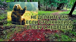 НЕ ДЕЛАЙТЕ ТАК ЕСЛИ ВНЕЗАПНО СТОЛКНУЛИСЬ в ЛЕСУ с МЕДВЕДЕМ