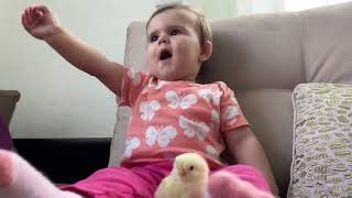 Funniest Kids Videos | A little baby with a little chicken