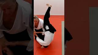 Aikido KAESHIWAZA, counter techniques, on SANKYO, by Stefan Stenudd