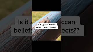 Is it against Wiccan beliefs to kill insects? 🦟