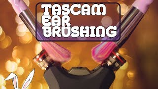 ASMR Интенсивная чистка ушей TASCAM Brushing (No Talking)