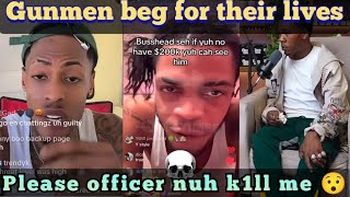 gunmen beg police not to k!ll on tiktok, world dog defend crop top 21 buss head react to nicki minaj