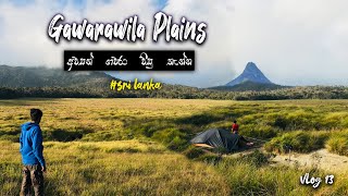 Gawarawila Plains | ගවරවිල තැන්න | Gawarawila Camping - Gatmore | Vlog 13 #nadaya