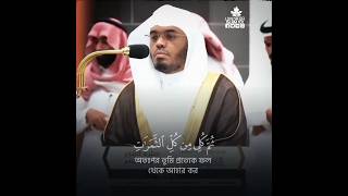 সুরা নাহল ৬৭-৭২ | #shorts 2/3 #ytshorts #reels #aldosary #emotional_recitation #quran #recitation