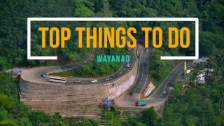 Things to do in Wayanad - By Thrillophilia