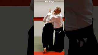 Aikido in slow motion: TAI SABAKI, leaving the line of the attack, by Stefan Stenudd