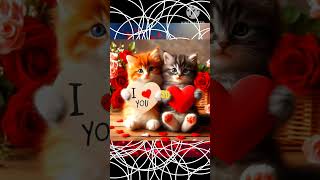 Cat love 🥰🥰short #vairlshort #explore #catlover