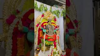 Varahi Ammavaru - Navarathrulu - Day 5 #varahi #amma #goddess #devotional #God #shorts #short #viral