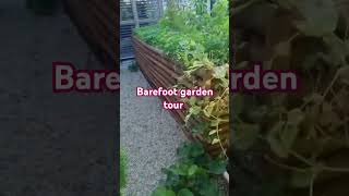 maglakad ng nakapaa sa garden #barefoot #garden #gardening #barefootlife #tour #vegetables #hochbeet