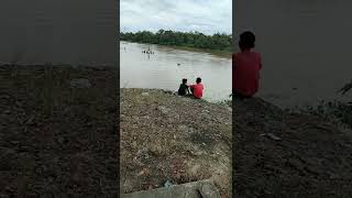 Wisata pulau rindu mulai terendam air sungai Kampar yang meluap.