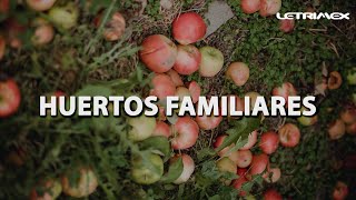 Huertos familiares: Producción y nutrición para todos.