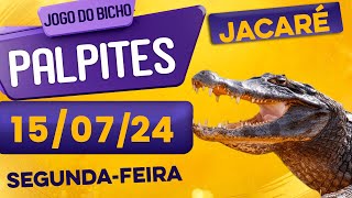 PALPITE DO DIA 15/07/2024 - JOGO DO BICHO 🍀 TODAS AS LOTERIAS 🍀