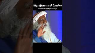 Significance of Snakes Explained | Nag Panchami Special | @Sadhguru #shorts