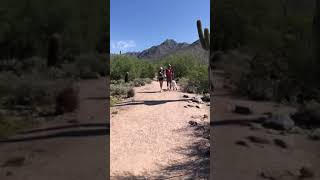 Weird dog people on a walk in Arizona. It was only 80 degrees??