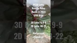 PCSO Lotto Results Today March 2, 2023 5PM Draw #lottoresult #5pmdraw