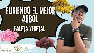 Eligiendo El Mejor Árbol: Paleta Vegetal (Visita al Vivero)