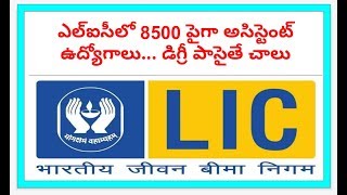 Lic Assistant jobs notification||LIC NOTIFICATION||LIC||LIC 2019||LIC ASSISTANT NOTIFICATION 2019