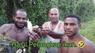 Mencari ikan di rawa Merauke Papua Selatan.