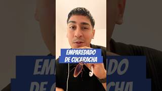 Emparedado de cucaracha #fypyoutube #shortvideo #funny