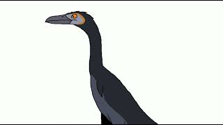 hesperornis